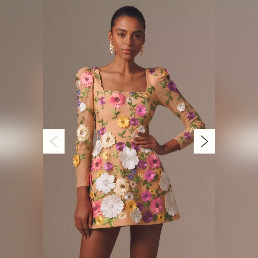 NWT Helsi Ellen Puff-Sleeve 3D Floral A-Line Mini Dress